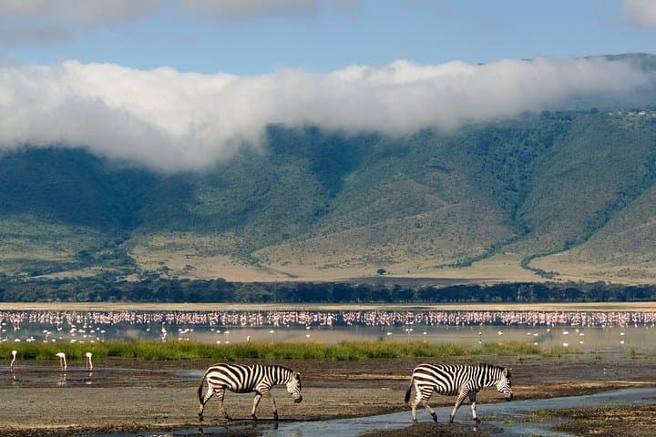 5-Day Private Safari: Ngorongoro, Serengeti & Lake Manyara Adventure photo 4