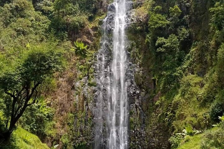 Materuni Waterfall & Chemka Hot Springs Day Hike from Moshi