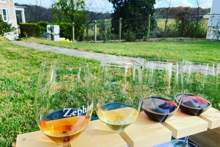 Virginia Wineries Tour: Historic Vineyards Near Washington, D.C. photo 4