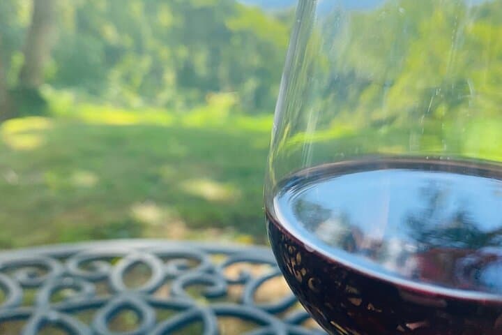 Virginia Wineries Tour: Historic Vineyards Near Washington, D.C. photo 5