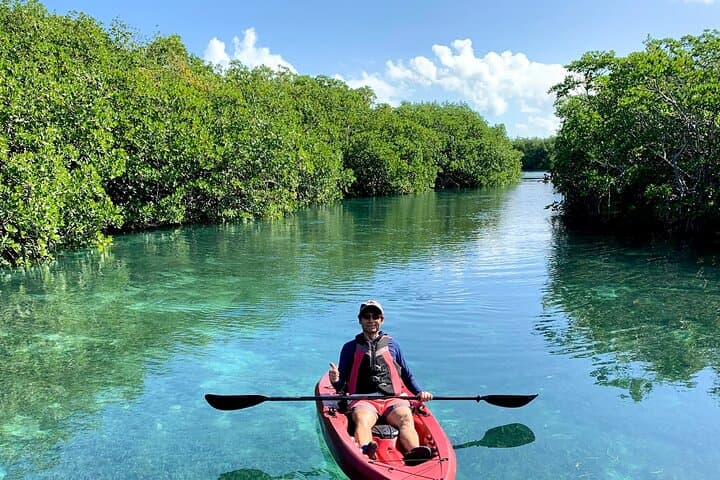 Paddleboard and Kayak Tour in Cancun's Nichupté Lagoon photo 5