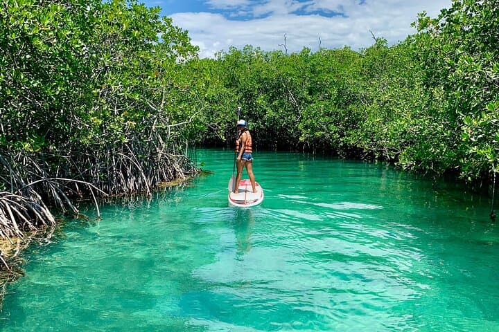 Paddleboard and Kayak Tour in Cancun's Nichupté Lagoon photo 6
