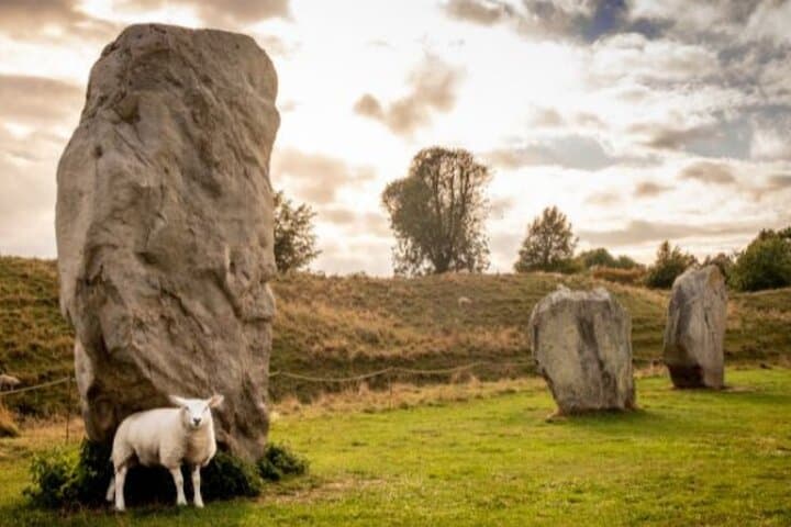 Stonehenge and Cotswold Villages Full-Day Tour from Bristol — Stone Circles, Abbey Cloisters & English Lanes photo 4