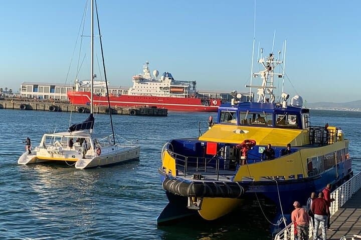Robben Island Tour from Cape Town — Nelson Mandela Museum with Return Transfers photo 4