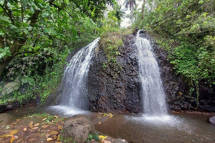 Half-Day Tahiti Coastal Private Tour — Waterfalls, Black Sand Beaches & Eel Feeding