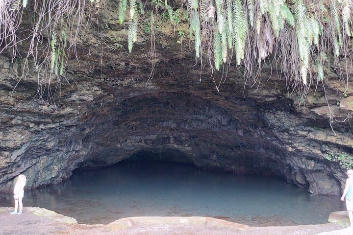 Half-Day Tahiti Coastal Private Tour — Waterfalls, Black Sand Beaches & Eel Feeding photo 4