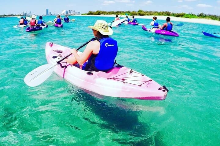Paddle with Dolphins: 2-Hour Broadwater Kayak & Snorkel Adventure photo 4