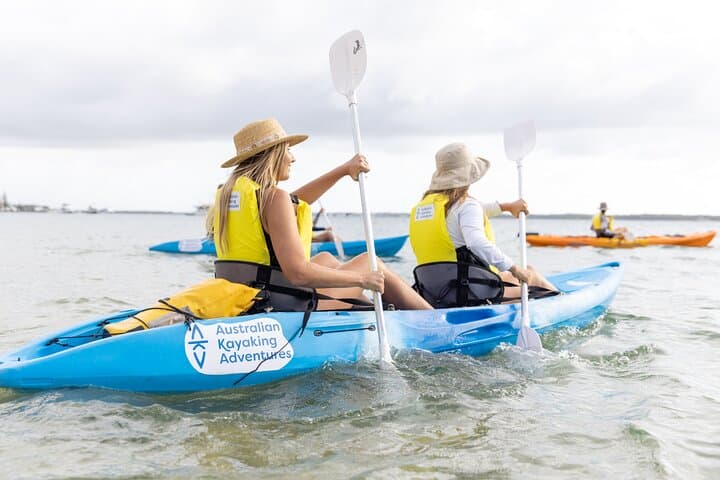 Paddle with Dolphins: 2-Hour Broadwater Kayak & Snorkel Adventure photo 5