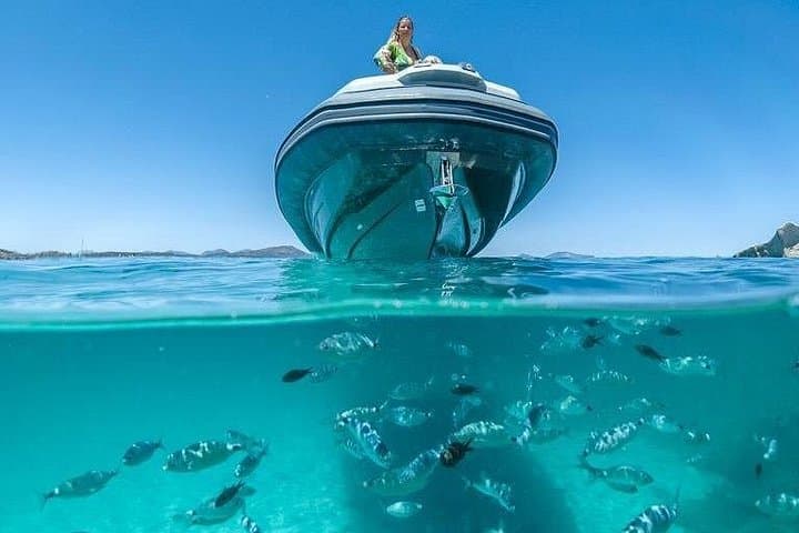 8-Hour Boat Tour in Tavolara and Molara Marine Park with Aperitif Lunch photo 4