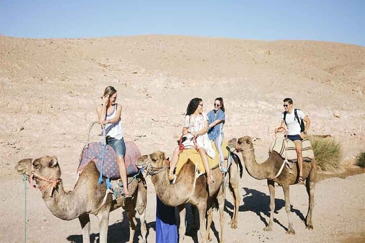 Agafay Sunset Camel Ride & Nomad Tea — Evening Tour from Marrakech photo 2