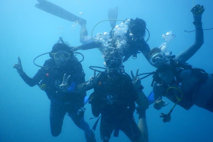 Private Scuba Diving with Sea Turtles in Protaras — Discover Scuba Experience photo 5