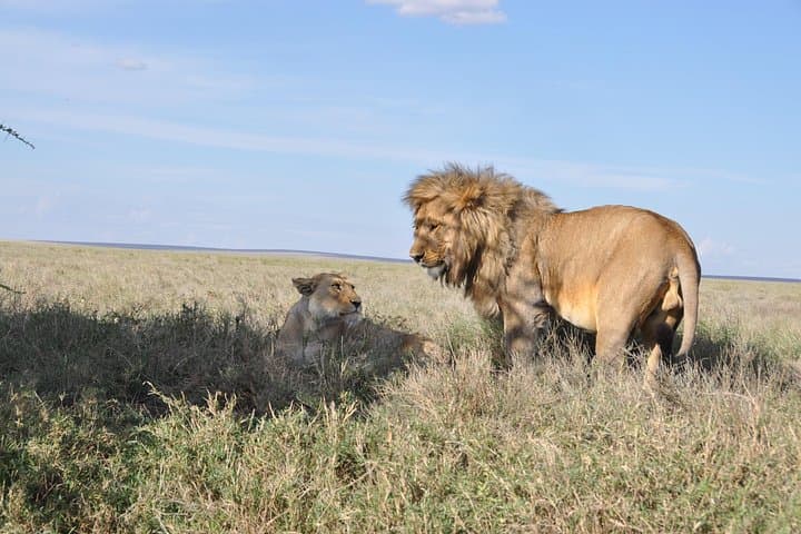 Private 3-Day Luxury Safari: Tarangire & Ngorongoro Crater photo 3