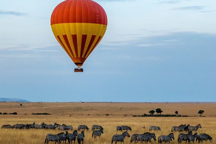 Tanzania Safari: Tarangire, Ngorongoro & Serengeti — 6–7 Day Private Wildlife Tour