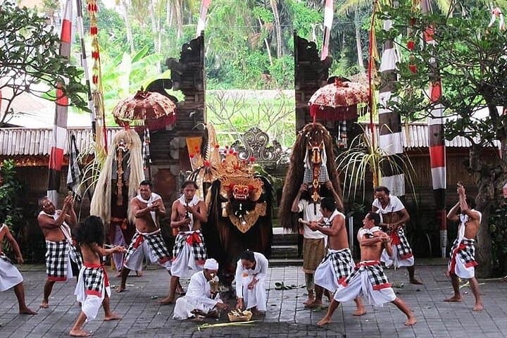 Ubud Sightseeing and Iconic Bali Swing: Full-Day Cultural Tour photo 2