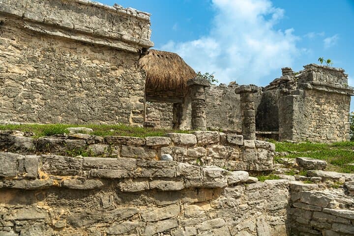 Tulum Ruins, Akumal Turtles & Cenote Cenote Swim — Private Full‑Day Tour photo 6