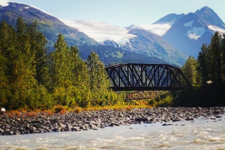 4-Day Seward Camping Adventure from Anchorage — Sea Kayak Exit Glacier & Kenai Wildlife photo 5