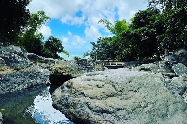 Private El Yunque Hidden Waterfall Hike: Remote Pools & Hydrotherapy photo 5