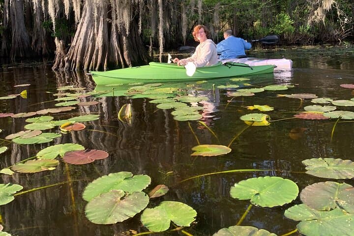 Private Kayak and Canoe Tours on Caddo Lake: Paddle the Bald Cypress Forest photo 2