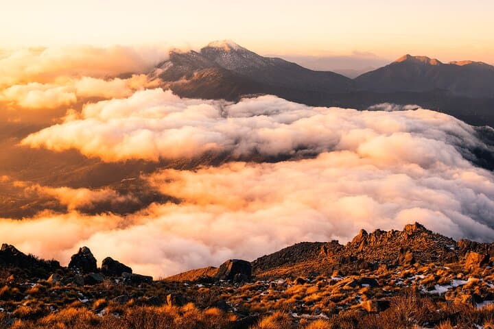 Full-Day Private Photography Hike in Chile's Cordillera de la Costa photo 3
