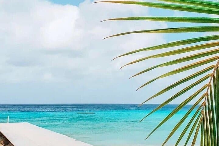 Authentic Curacao Private Full-Island Tour — Beaches, Turtles & Local Culture photo 5