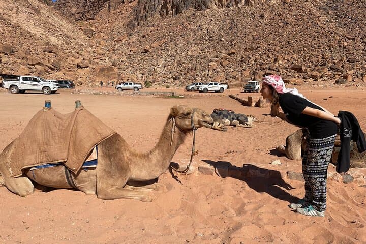 Wadi Rum Full-Day 4x4 Desert Tour and Overnight Bedouin Tent Experience photo 5