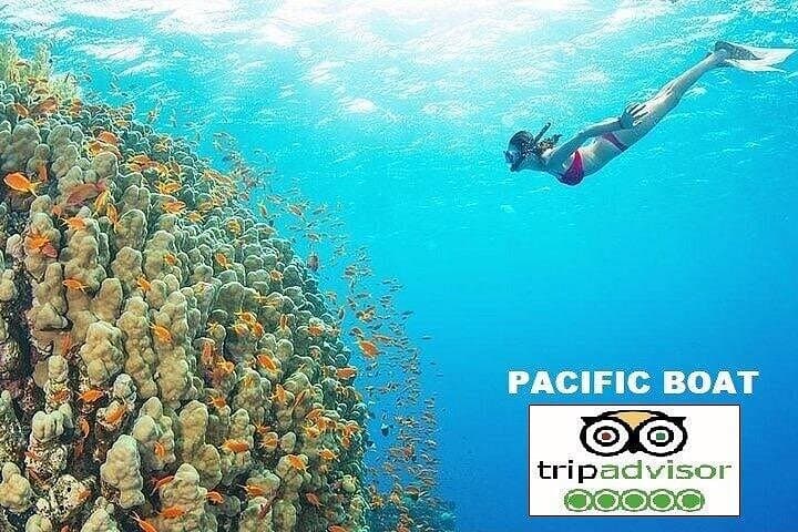 Cham Island Snorkeling Tour from Da Nang — Boat Trip, Marble Mountains & Han River photo 1
