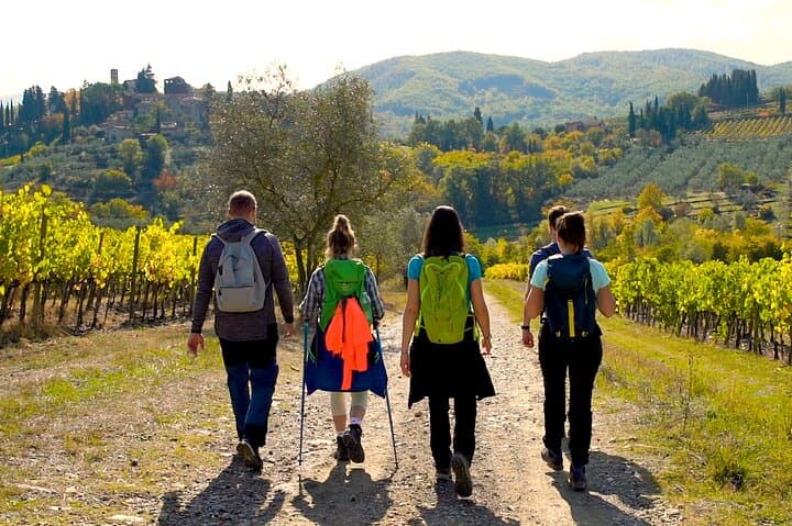 Chianti Classico Private Hike and Wine Tour from Greve — Day Hike with Tastings photo 2