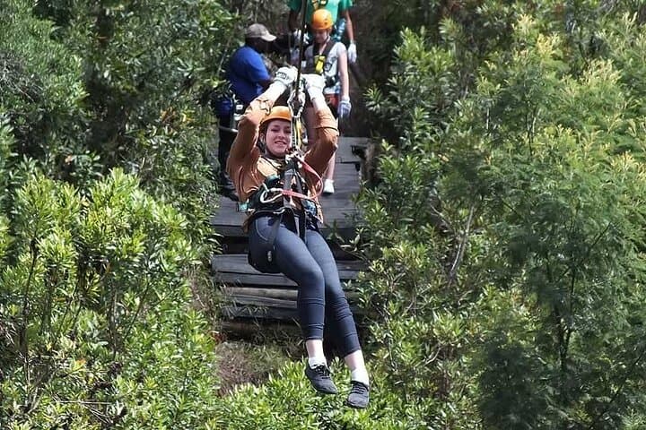 Tsitsikamma Bungee at Bloukrans Bridge — Zipline, Winch Ride & SkyWalk Adventure photo 2