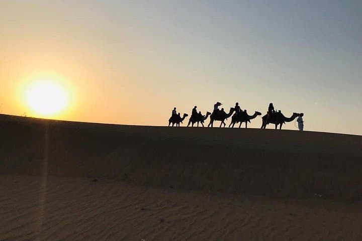 Dune Thrills and Bedouin Nights: VIP Desert Safari with Camel Ride & BBQ (Dubai) photo 3