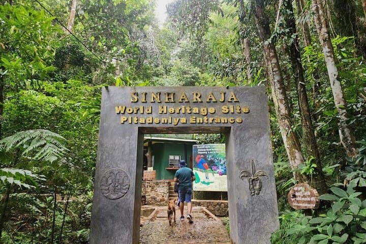 Sinharaja Rain Forest Guided Day Tour — Endemic Birds, Waterfalls & River Baths