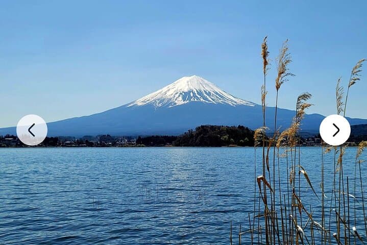 Mt Fuji and Hakone Full-Day Private Tour from Tokyo — Customizable Private Car Experience photo 4