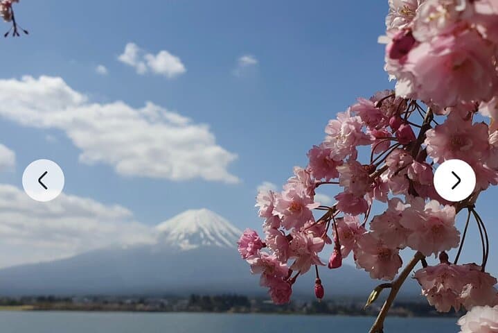 Mt Fuji and Hakone Full-Day Private Tour from Tokyo — Customizable Private Car Experience photo 3