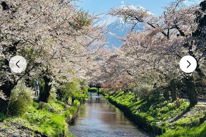 Mt Fuji and Hakone Full-Day Private Tour from Tokyo — Customizable Private Car Experience photo 2