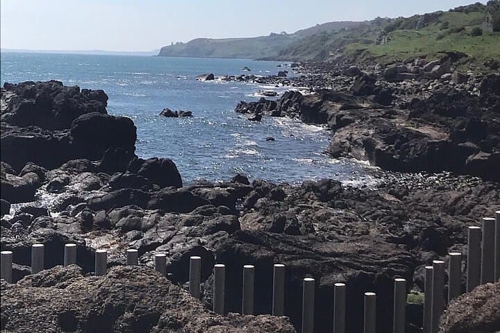 Giants Causeway Quick-Visit: Belfast One-Stop Tour Guide photo 2