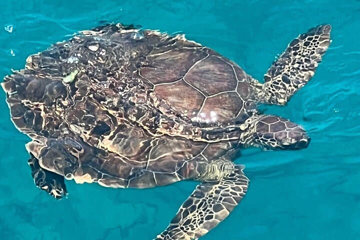 Sunset Luxury Yacht Protaras: BBQ Cruise, Blue Lagoon & Cape Greco Caves photo 4