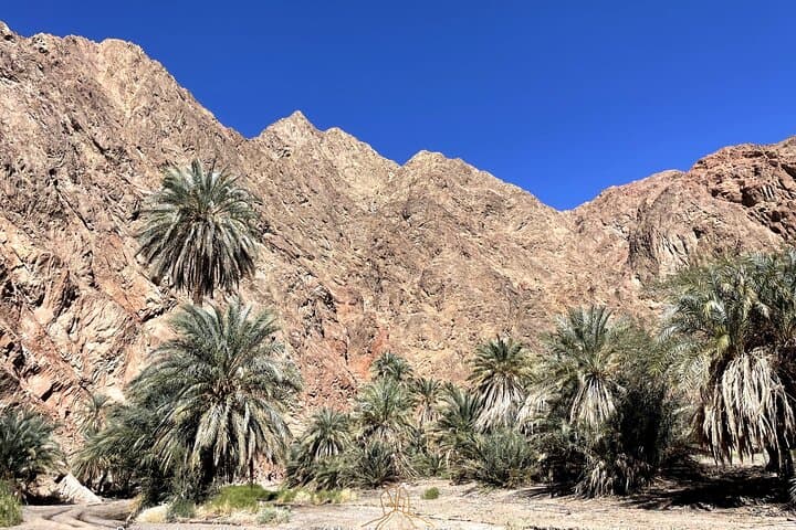 Walk in Moses' Footsteps: Tabuk to the Red Sea — Multi-Day Heritage Trek photo 3