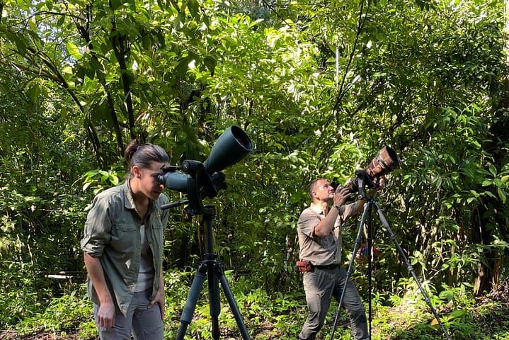 Esquipulas Rainforest Private Birding Tour — 4‑Hour Customizable Quepos Birdwatching photo 5