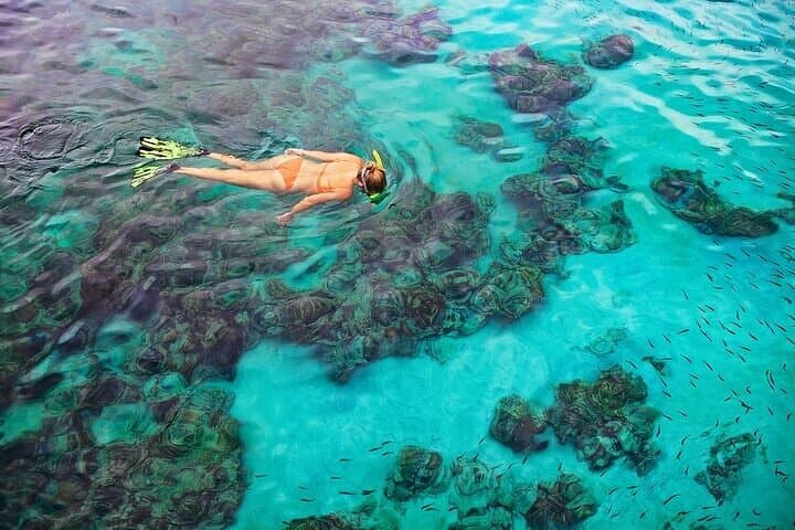 Snorkeling Kealakekua Bay: Explore Dolphins, Sea Caves & Captain Cook Monument photo 2