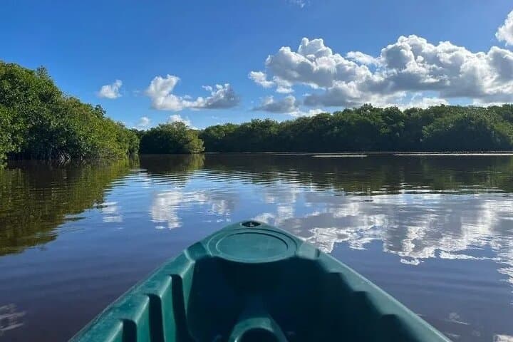 Sisal Mangroves Kayak Tour from Merida — Full-Day Wildlife & Beach Adventure photo 3