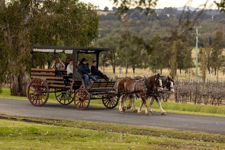 Horse-and-Carriage Wine Tour in Pokolbin: 3-Hour Harvest the Hunter Experience
