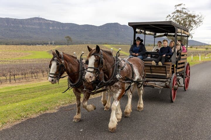 Horse-and-Carriage Wine Tour in Pokolbin: 3-Hour Harvest the Hunter Experience photo 2
