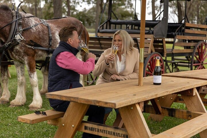 Horse-and-Carriage Wine Tour in Pokolbin: 3-Hour Harvest the Hunter Experience photo 3