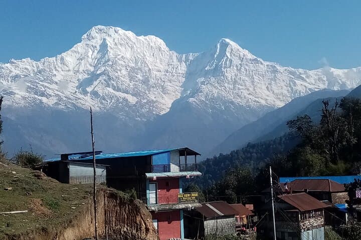 Short Annapurna Base Camp Trek from Pokhara — 5-Day ABC Quick Trek photo 5