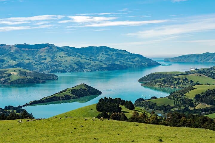 Akaroa Private Day Tour from Christchurch: Volcano Coast, Wildlife Cruise & French Heritage