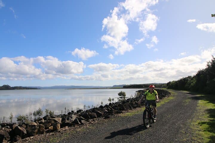 Auckland Half-Day E-Bike Excursion: Waterfront, Western Springs & Te Atatu Peninsula photo 4
