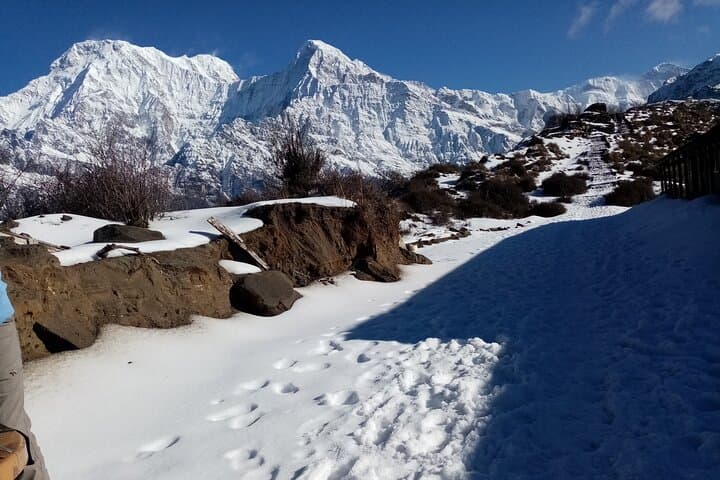 Short Annapurna Base Camp Trek from Pokhara — 5-Day ABC Quick Trek photo 4