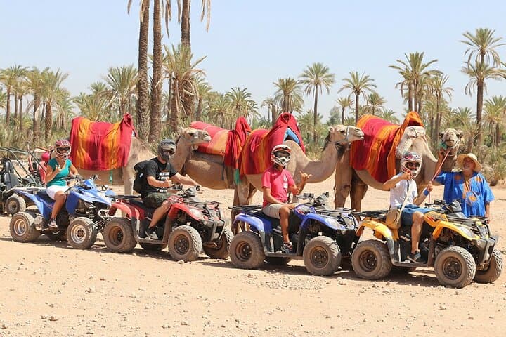 Palmeraie Marrakech Quad and Camel Ride — Half-Day Desert Adventure