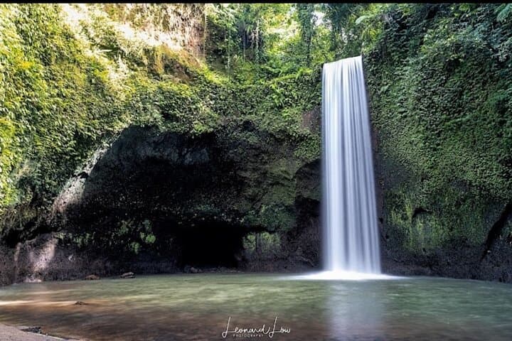 Full-Day Bali Waterfalls, Coffee Tasting & Tegalalang Rice Terrace Private Tour photo 6