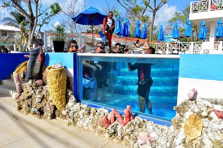 Beginner Scuba Diving in San Andrés: 4-Hour Introductory Dive Experience photo 4