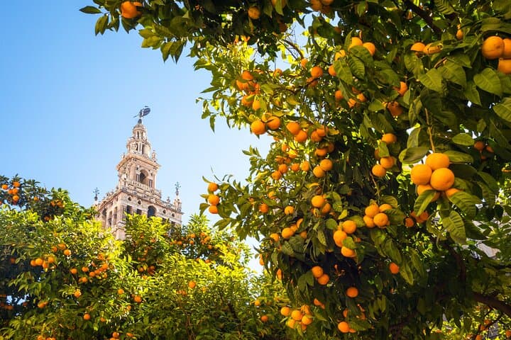 Self-Guided Seville North Audio Walking Tour — 7.7 km, 26 Stops photo 5